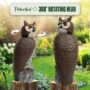 Rotating Head Owl Decoy – 18″
